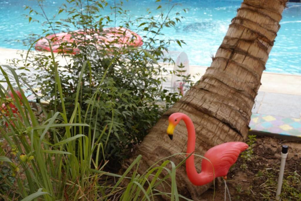 B-Lbait Yanbu Villa Garden 외부 사진